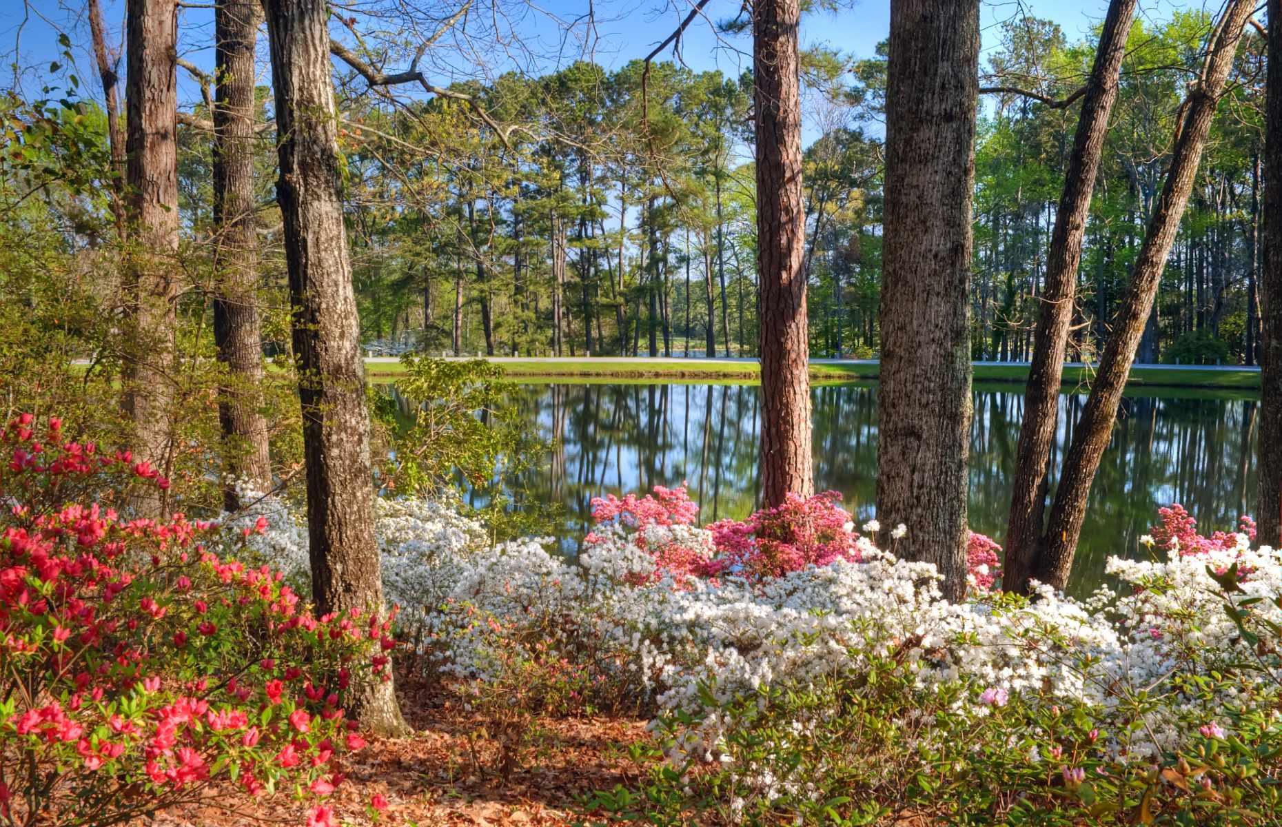 Pine Mountain, Harris County
