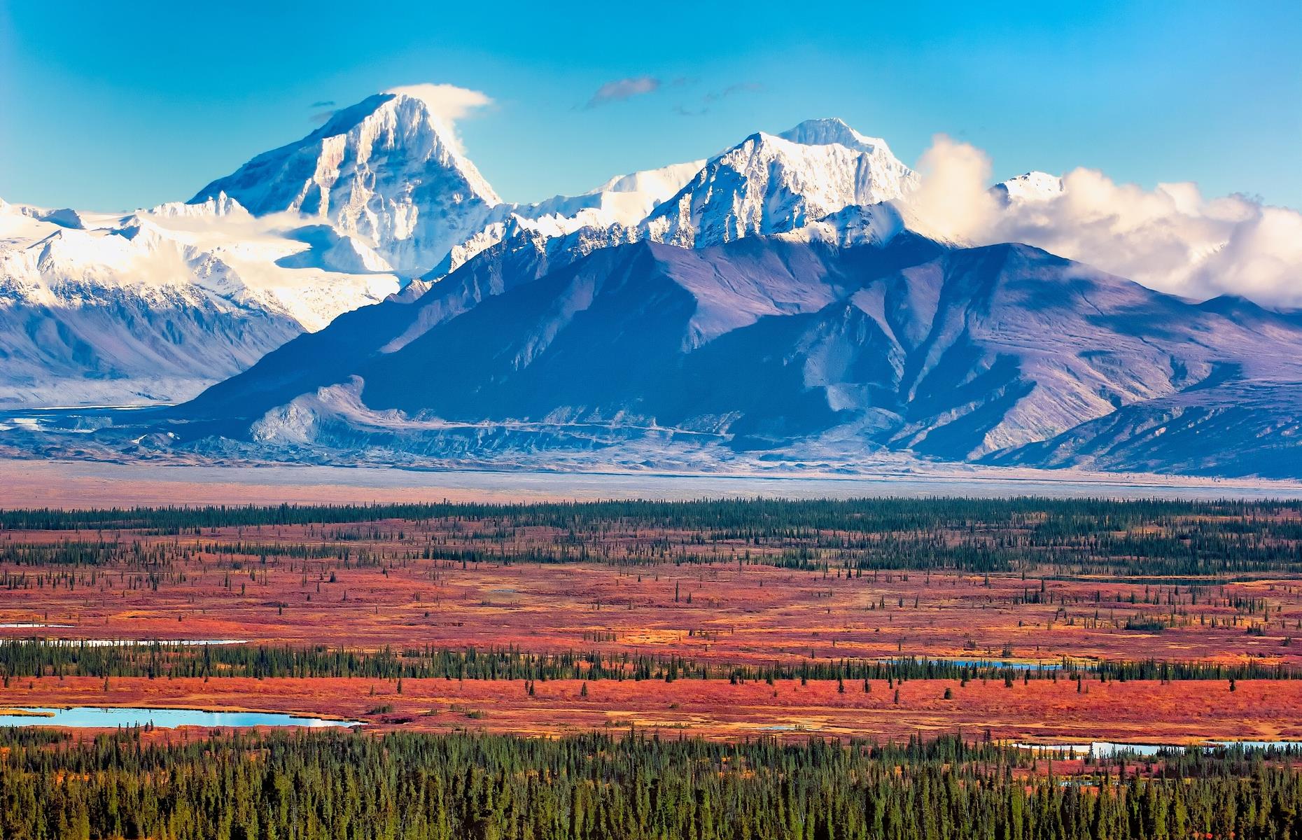 Denali National Park, Alaska 