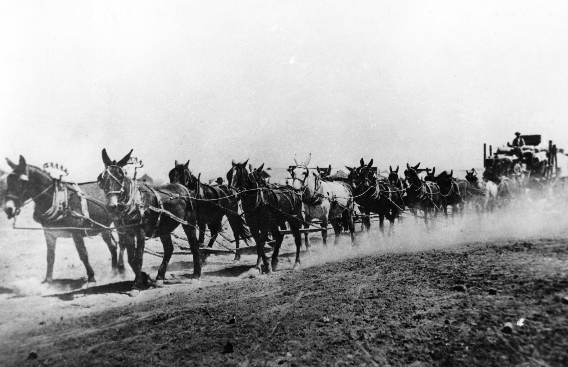 c.1905: Vegas is in its infancy