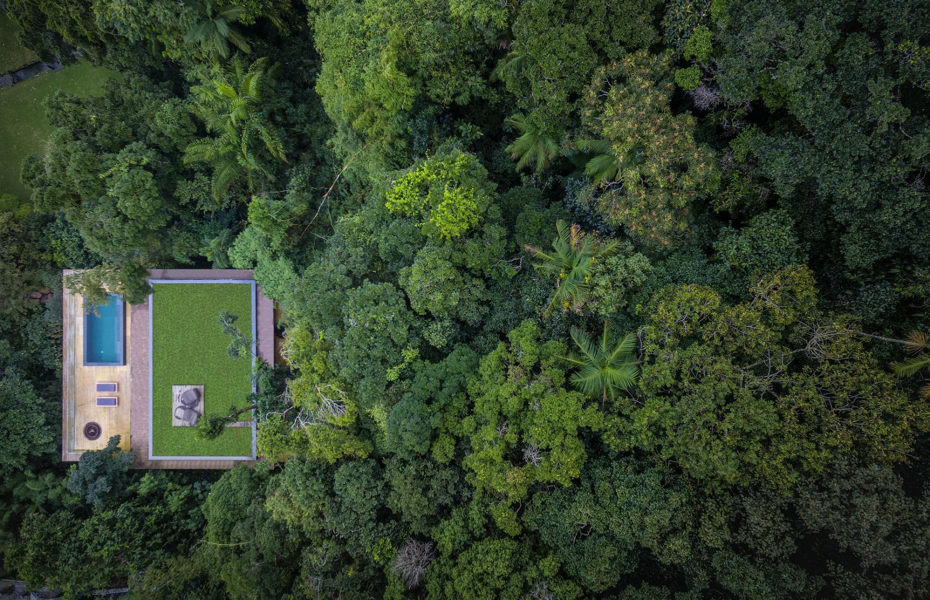 Jungle House, Paulista, Brazil