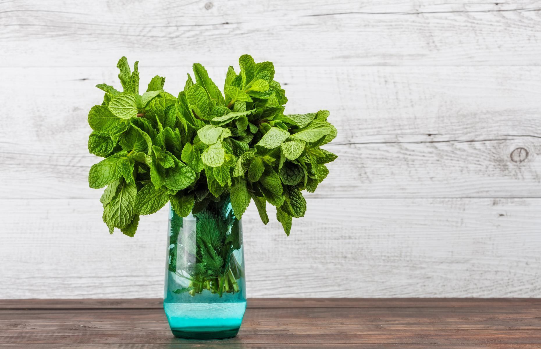 Store herbs like flowers