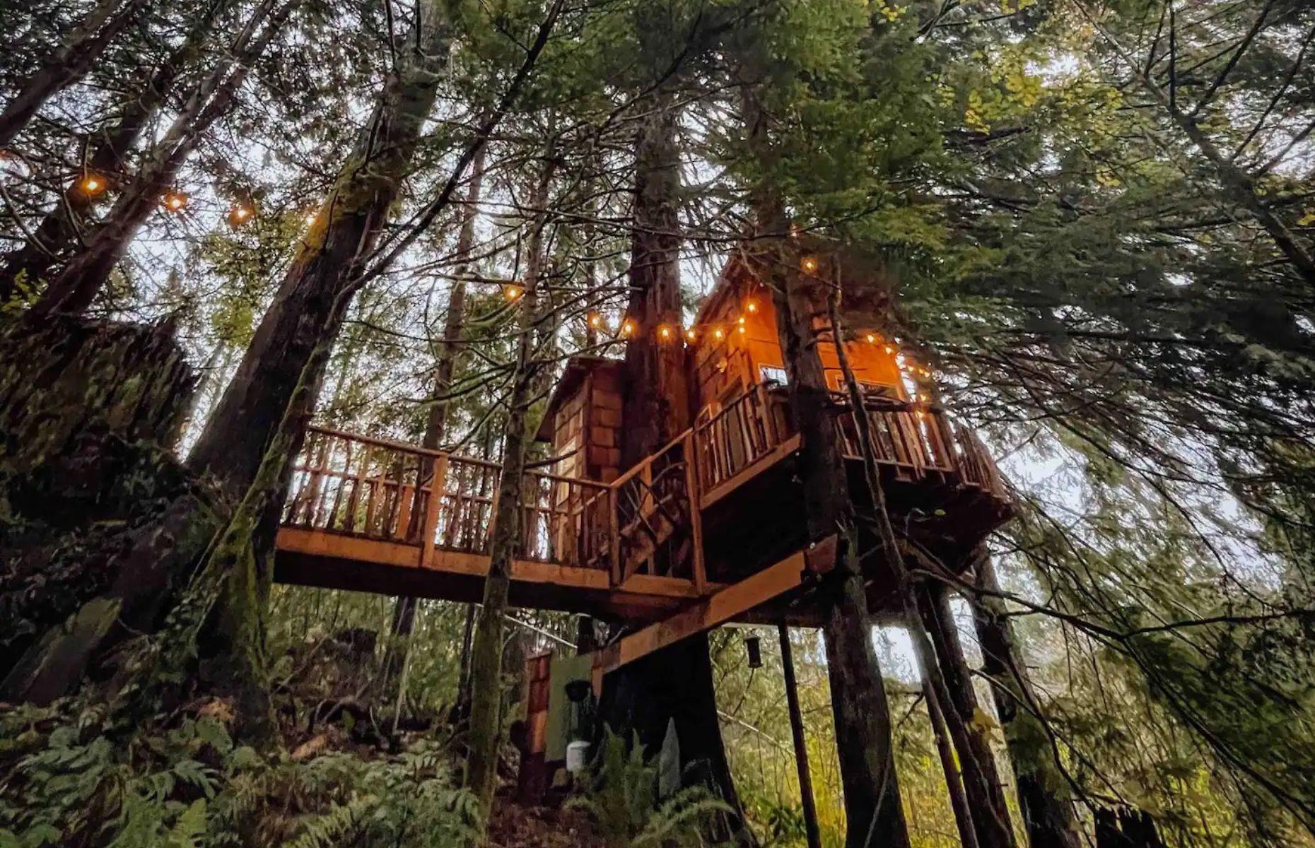 Cedar Falls Treehouse, Washington, USA