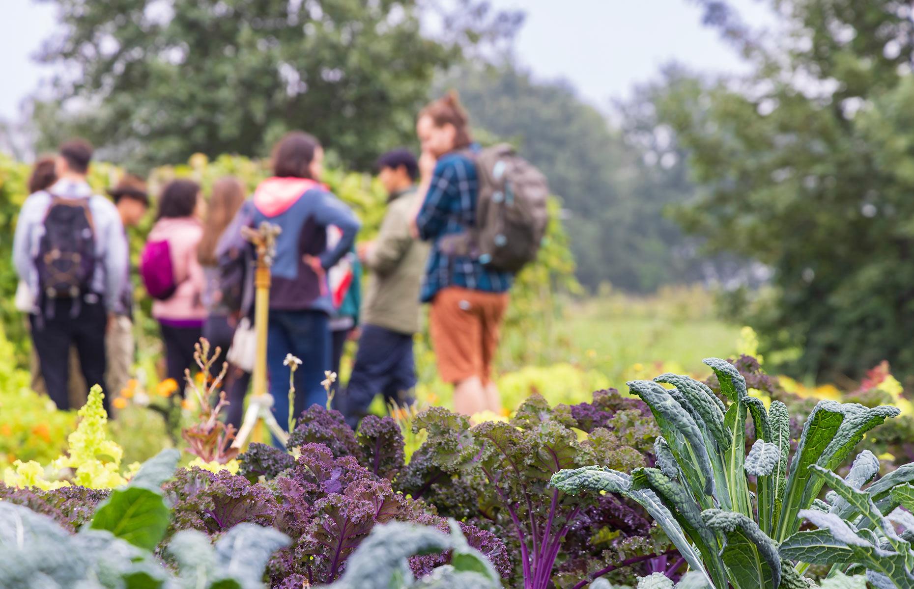 11. Open your garden to the public