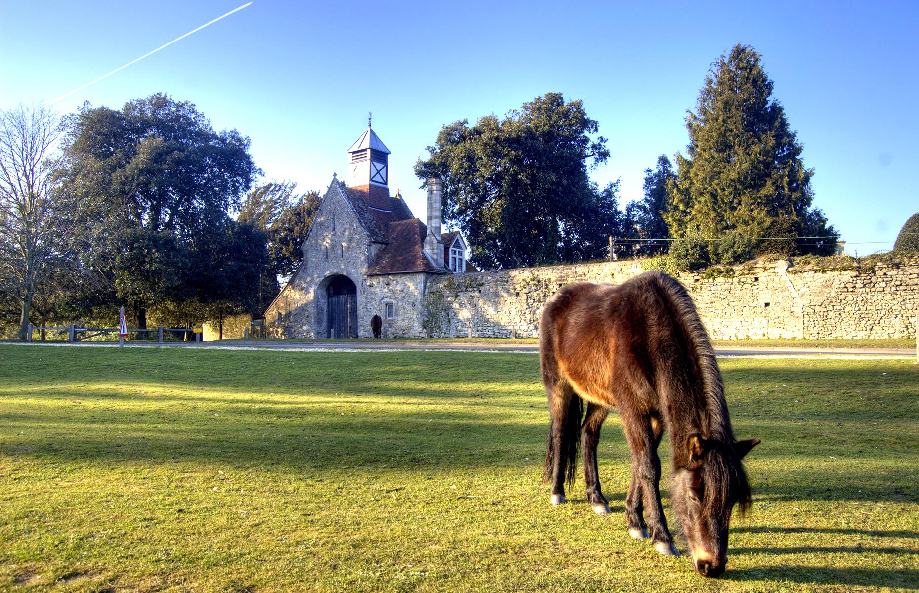 Beaulieu Palace House & Abbey, Hampshire