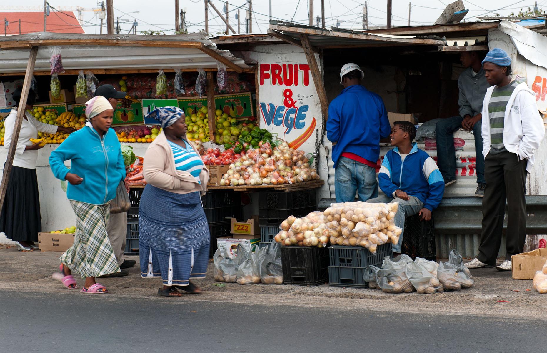 South Africa, Gini income index score: 67.0