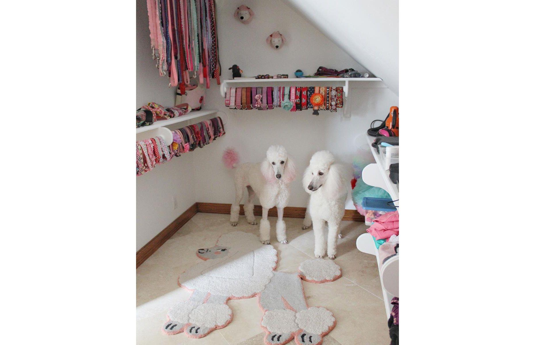 Adorable walk-in wardrobe for dogs