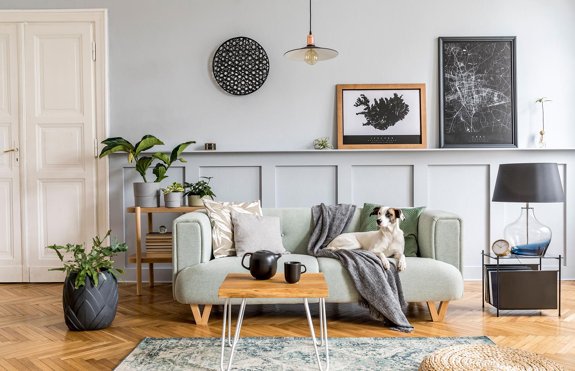 7. Bringing pets without asking first 
