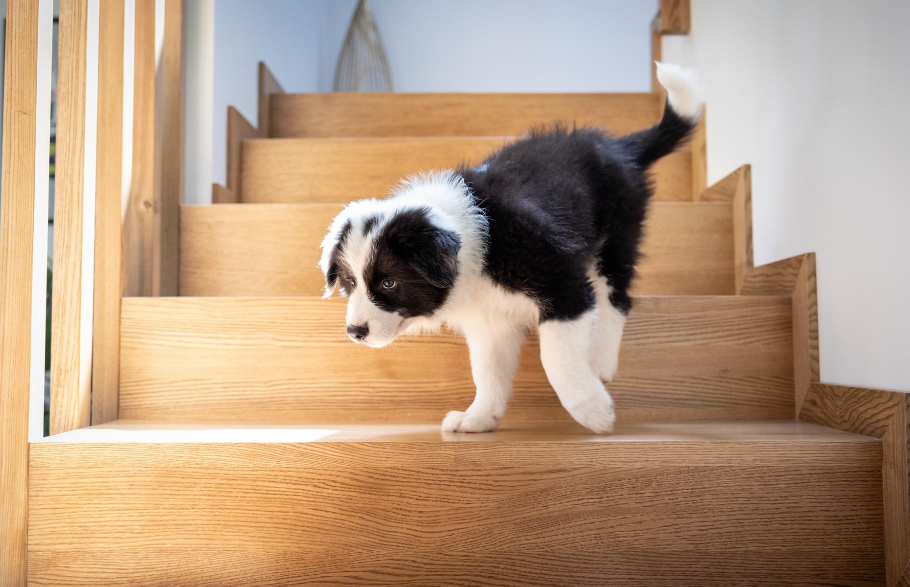 Escaleras no controladas