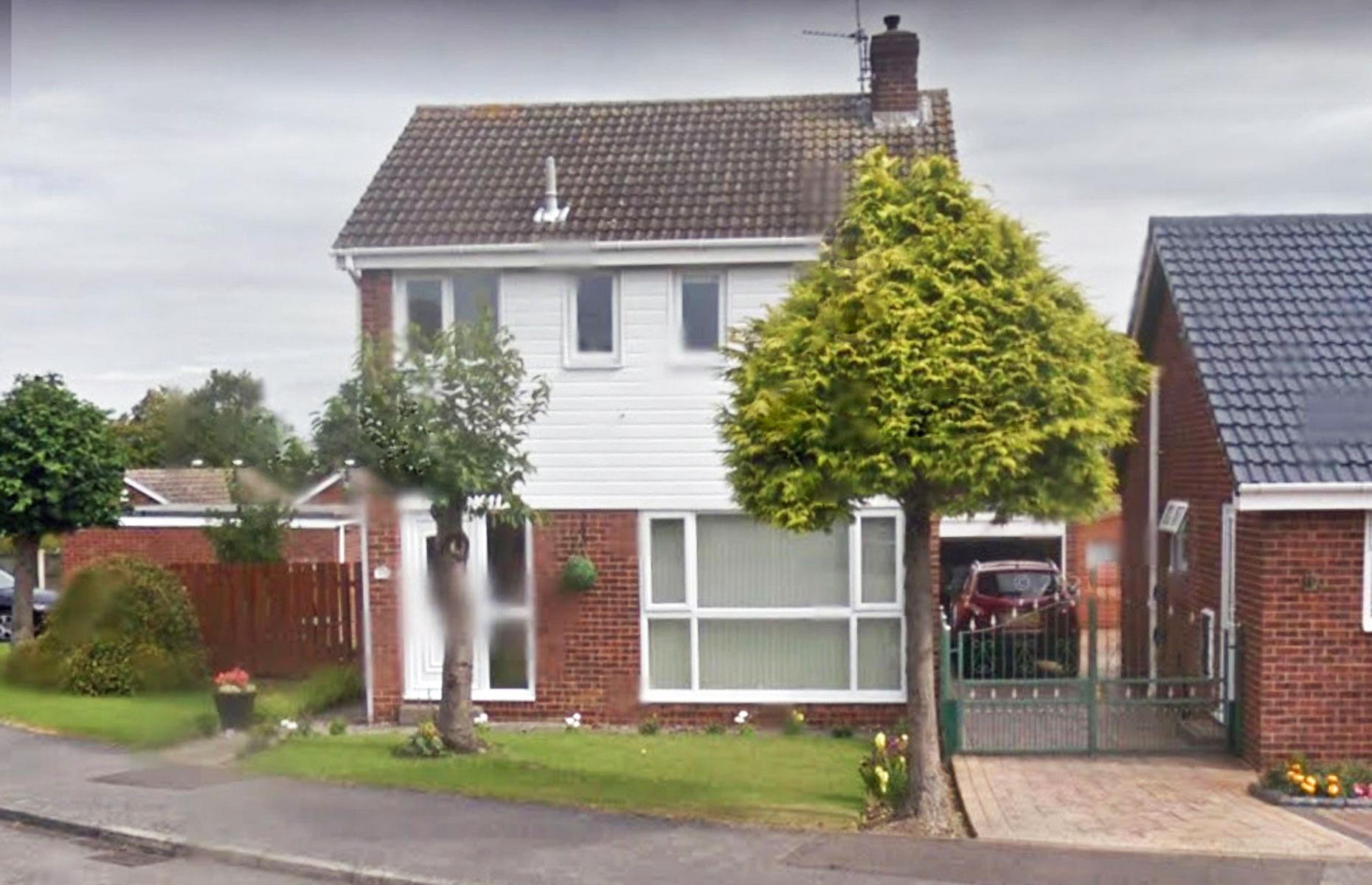 Neighbours' tree cut in half over bird mess