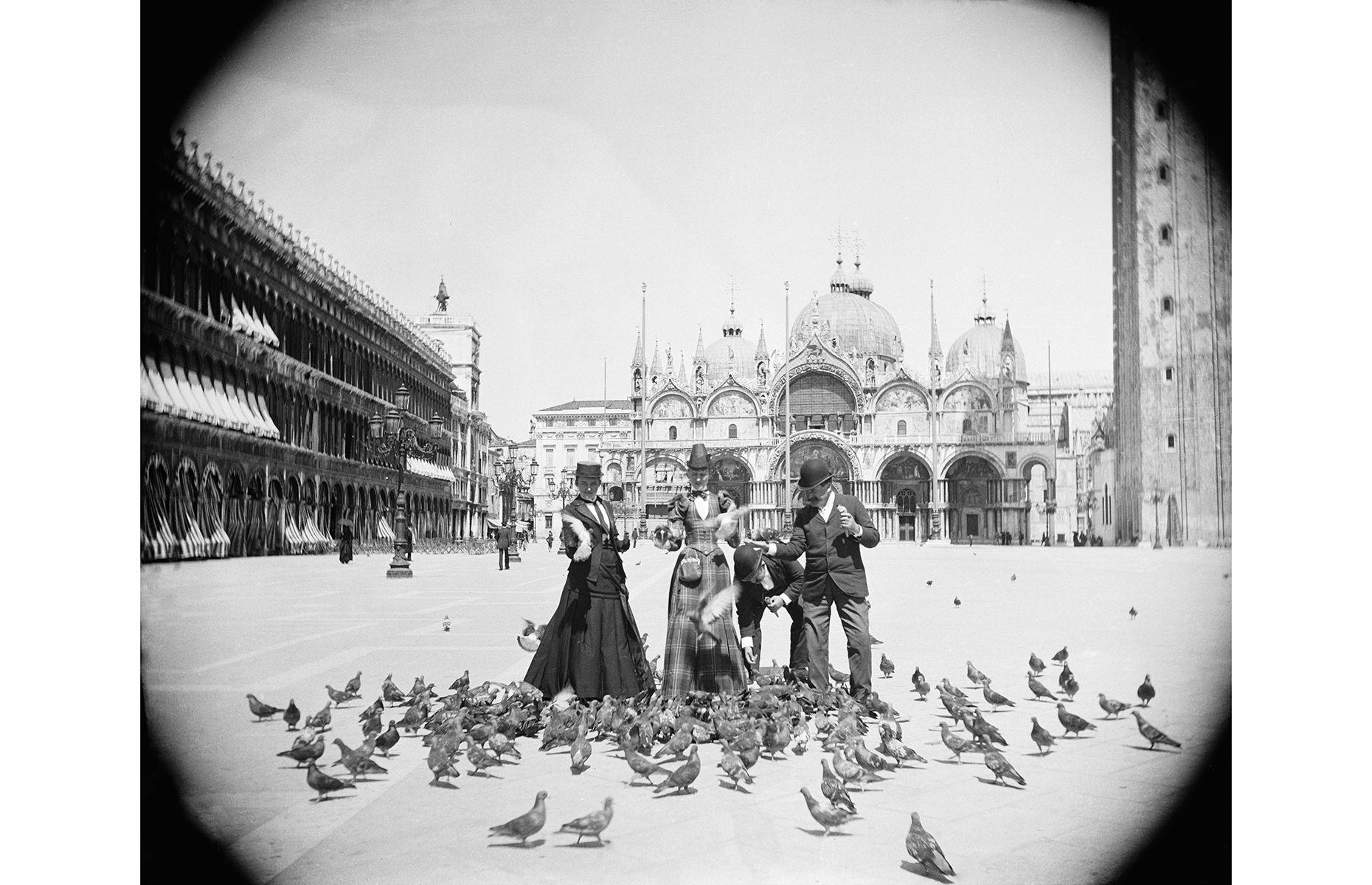 (Don't) feed the birds