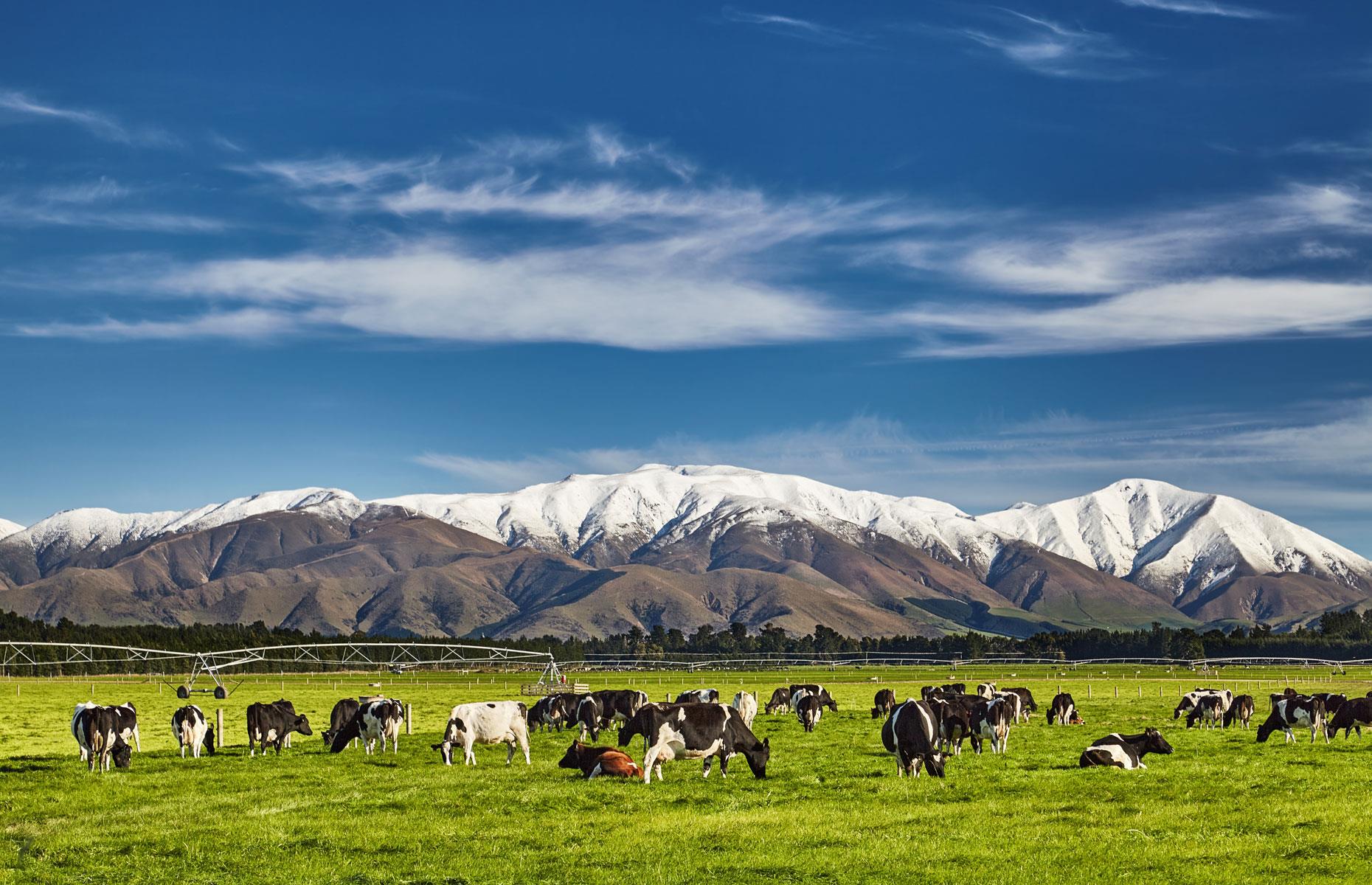 New Zealand: $1.73 (£1.36)