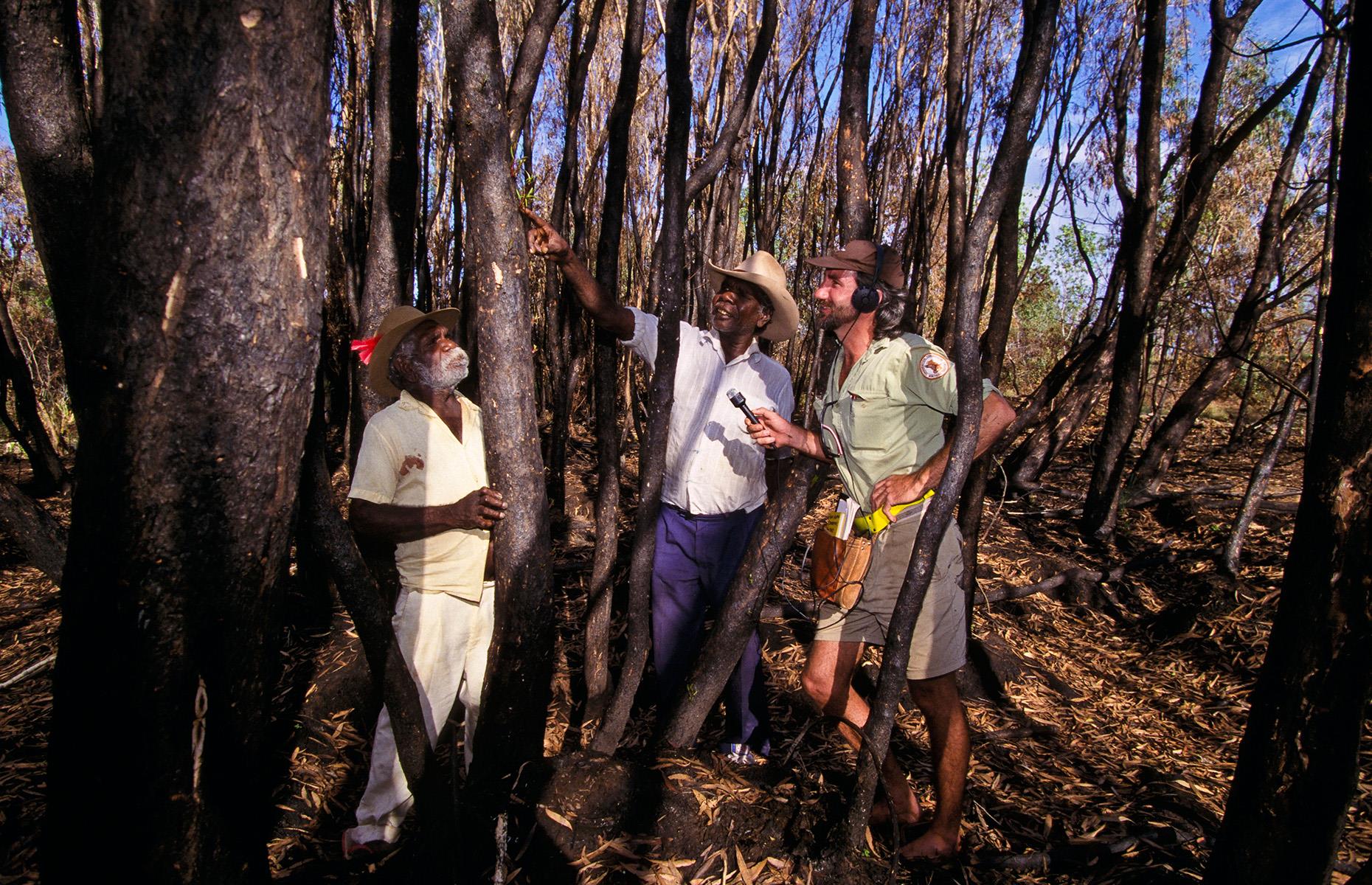 Aboriginal communities can predict the weather by observing nature