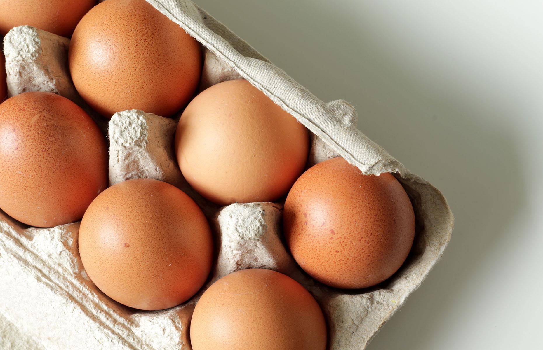 Fresh eggs