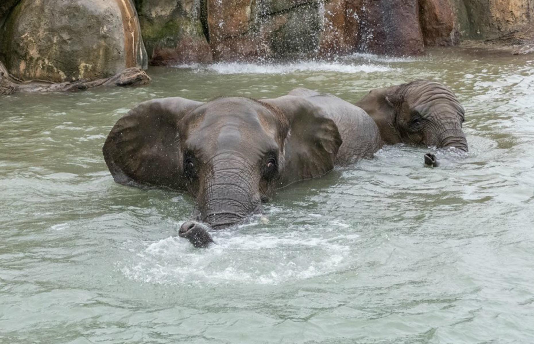Indianapolis Zoo, Indianapolis, Indiana