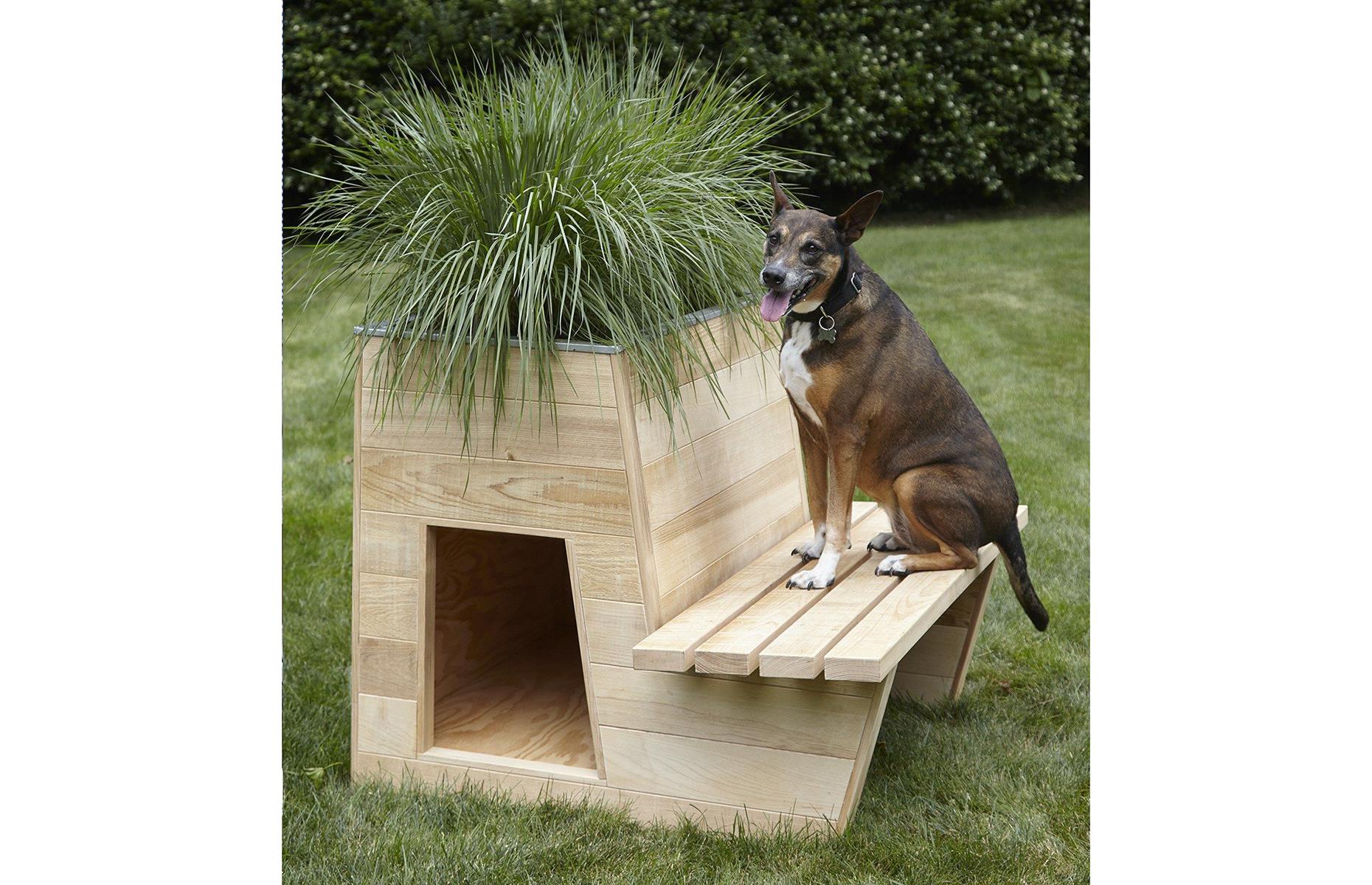 Smart bark-itecture