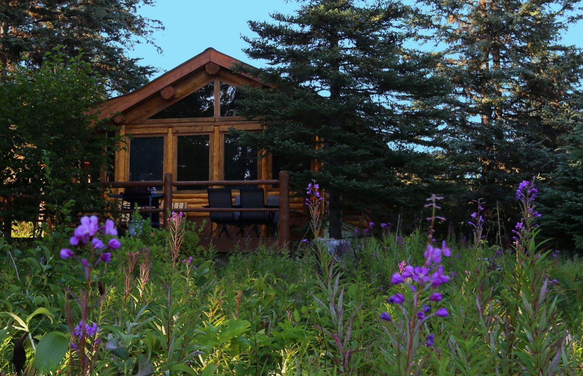 24. Alaska