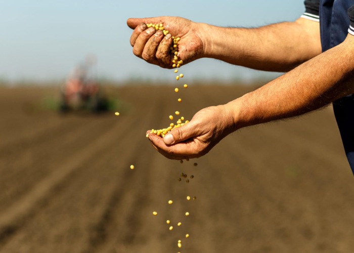 Revealed: the 20 states that feed the world
