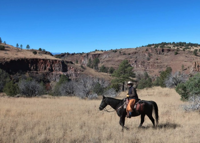 America's Bucket-List Dude Ranches For The Ultimate Vacation