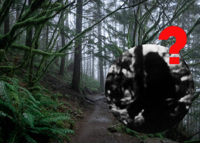America’s Most Baffling Unsolved Mysteries