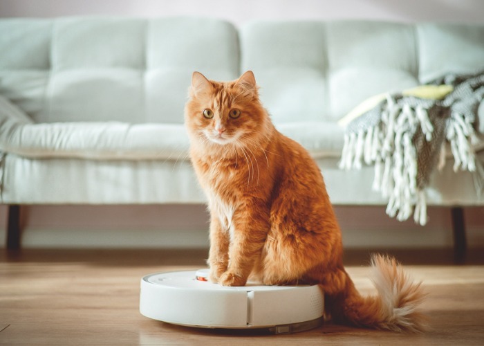 Allergy-proof your home with these 26 expert tricks