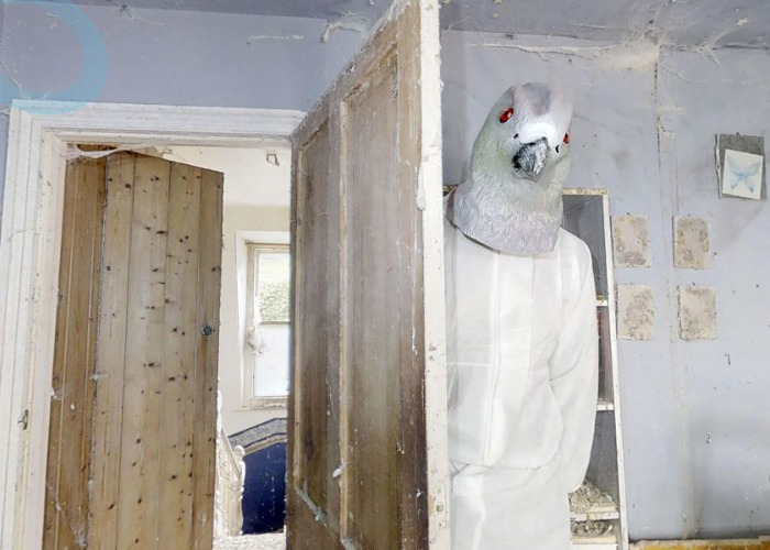 Property listings that NIGHTMARES are made of 