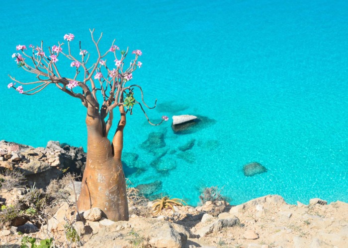 The world's most remote islands where people actually live