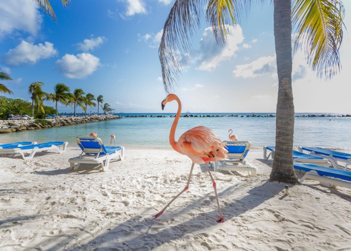 31 of the Caribbean’s once-in-a-lifetime places to visit
