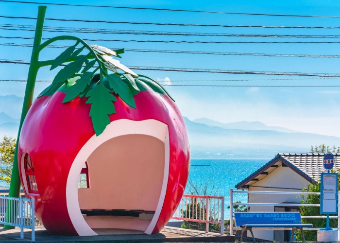 The world's weirdest bus stops and their bizarre stories