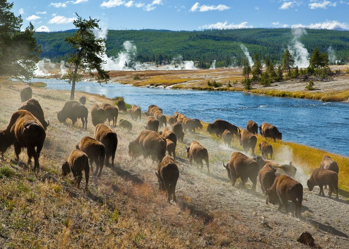 US national parks: the stories behind their names | loveexploring.com