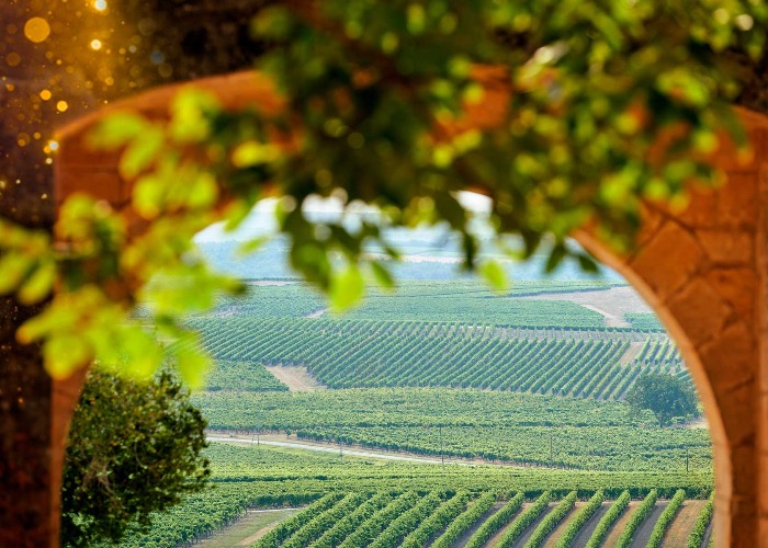 The Charentes, France: the ultimate itinerary, from Cognac to chateaux