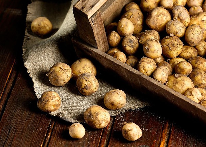 30 of the world's most expensive ingredients