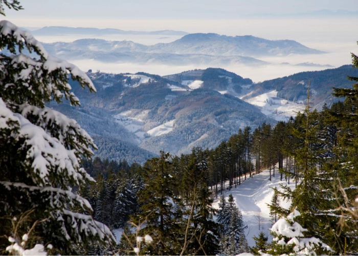 The secret history of the Black Forest, Germany’s most magical region