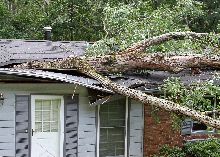 Storm damage: how to claim on your home or car insurance