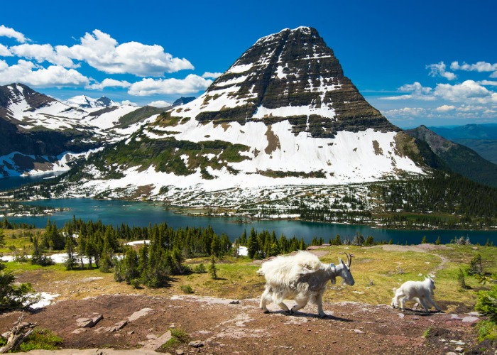 You Probably Didn't Know These 31 Surprising Facts About America's National Parks