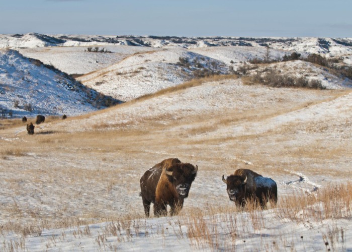 Revealed: America's 30 National Parks That Are Best In Winter