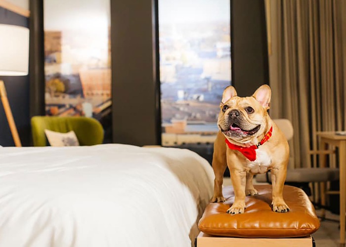 The Best Pet Friendly Hotel In Every State