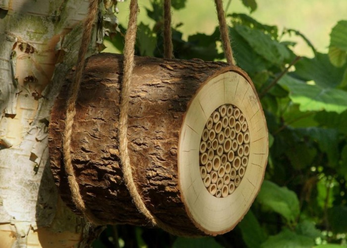 Welcome the bees with a pollinator-approved garden