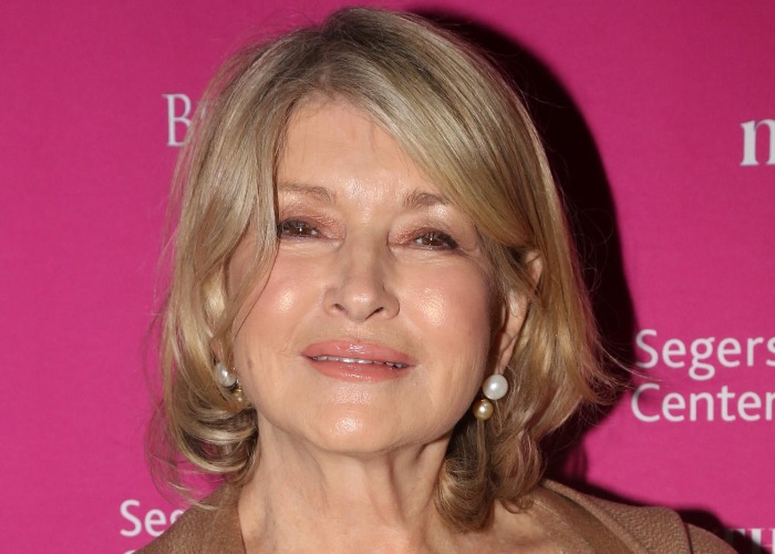 15 Famous Faces Who Went To Jail For Financial Crimes