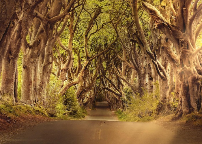 We've found the most haunted places in the UK and beyond
