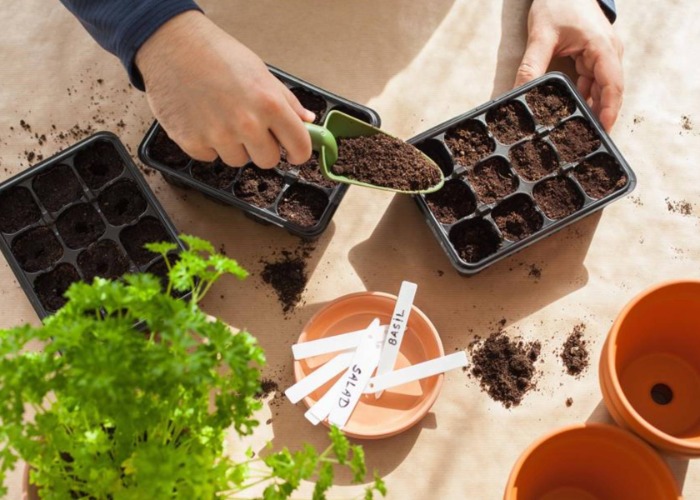 Get these 35 autumn garden jobs ticked off BEFORE winter sets in