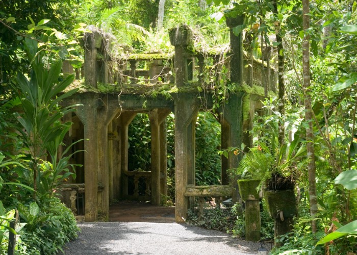 Incredible images of ruins overrun by nature