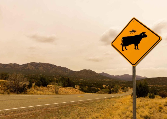 These Ridiculous Road Signs Will Make You Chuckle