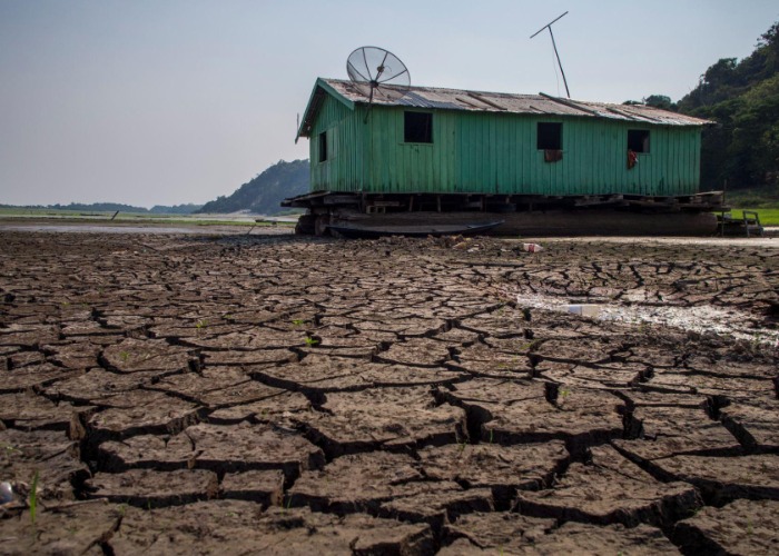 Lungs Of The Earth: Why You Should Care About The Amazon Rainforest