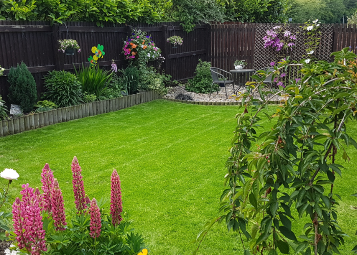 Starting a garden? Try these 26 budget-friendly hacks