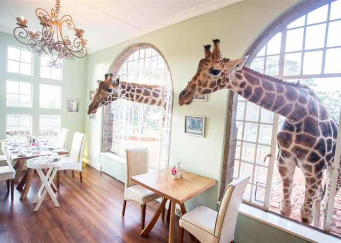 The UK's most bizarre places to stay, plus more worldwide