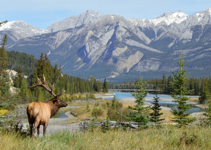 14 ways to experience Indigenous culture in Alberta, Canada