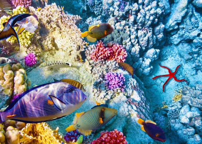 Boost your bucket list with 106 incredible global adventures
