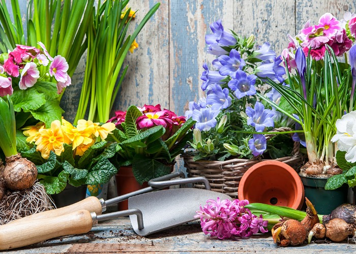 8 Ways To Spruce Up Your Garden For Spring