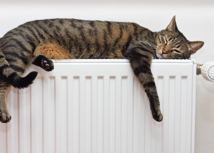 30 things that will boost your house price