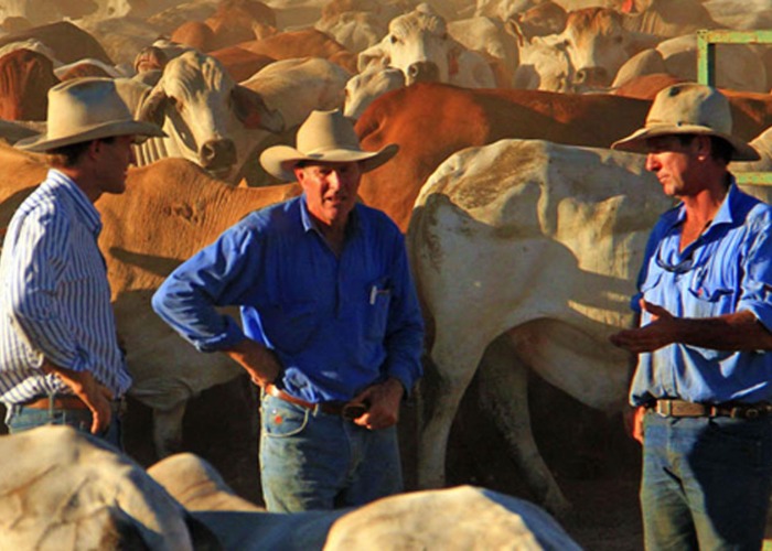 Revealed: The World's Biggest Private Landowners